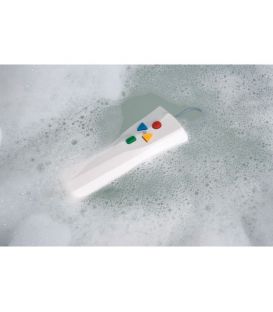Bellavita Hand Control Including Storage Battery