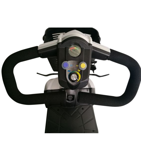 CityCruzer 4 Wheel Scooter - EV Rider