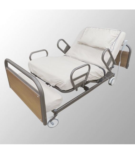 Powered Rotor Assist Bed - Great Life Healthcare