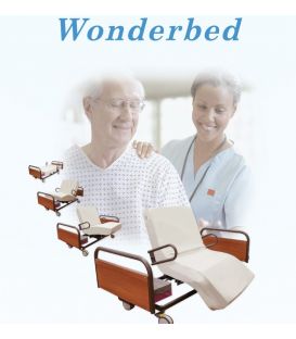 Powered Rotor Assist Bed - Great Life Healthcare
