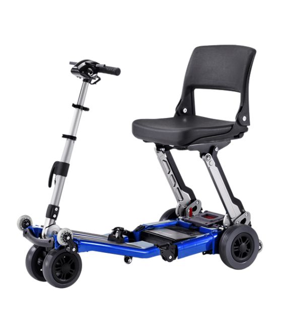 Luggie Standard - Royal Blue