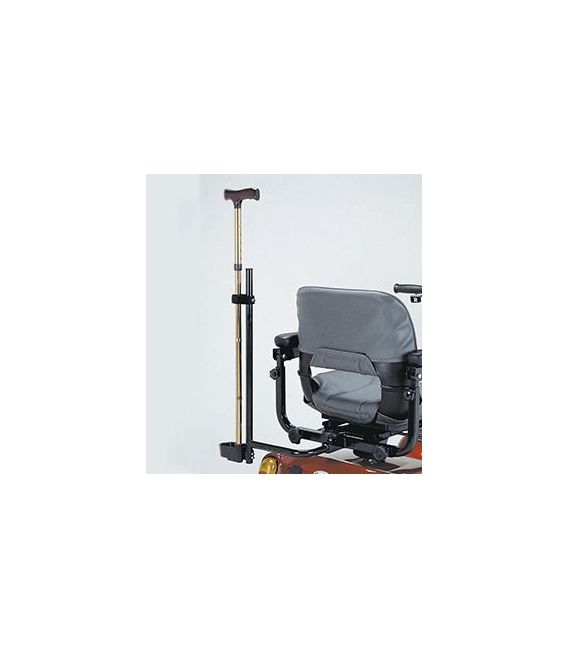 Cane Holder