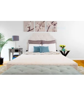 Transfer Master Supernal Hi-Low Hospital Bed