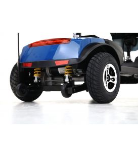 Metro Mobility Patriot