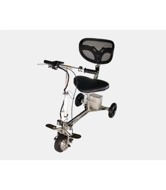 SmartScoot
