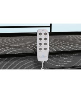 The Independence Sit -to-Stand Bed System 