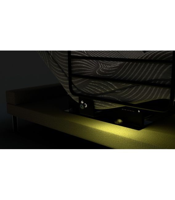 The Independence Sit -to-Stand Bed System 