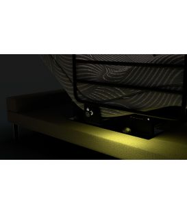 The Independence Sit -to-Stand Bed System 