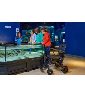 Golden Cricket Foldable Power Wheelchair GP302