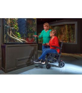 Golden Cricket Foldable Power Wheelchair GP302