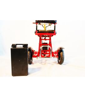 Triaxe Sport Scooter - Enhanced Mobility