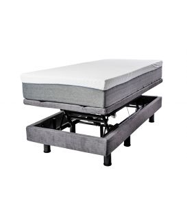 Golden Passport Hi-Low Adjustable Base Bed