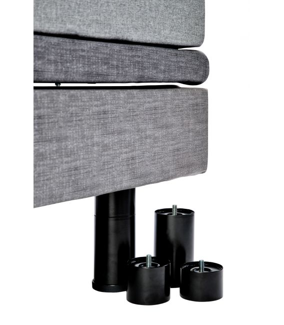 Golden Passport Hi-Low Adjustable Base Bed