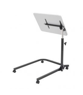 Pivot and Tilt Adjustable Overbed Table Tray