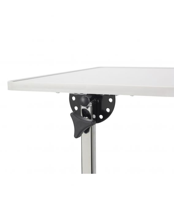 Pivot and Tilt Adjustable Overbed Table Tray