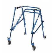 Young Adult Posterior Posture Walkers