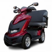BOLD & GUTSY SCOOTERS