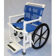 Pool Access Chair